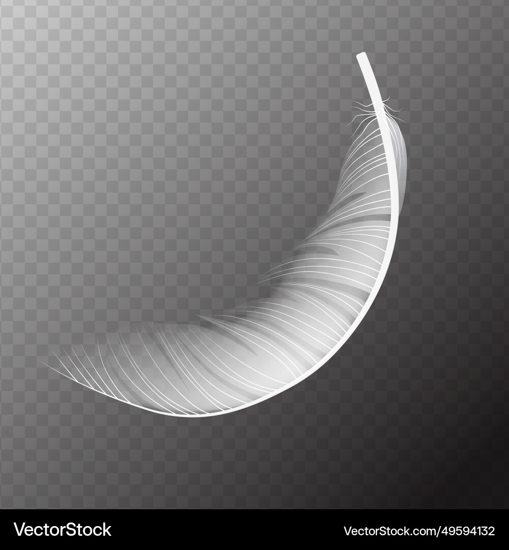 White flying feather Royalty Free Vector Image