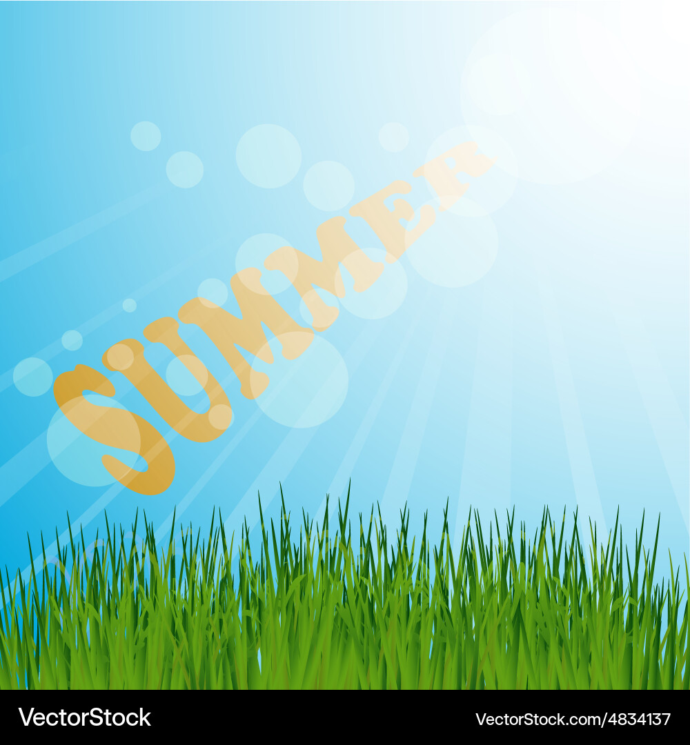 Grass background summer Royalty Free Vector Image
