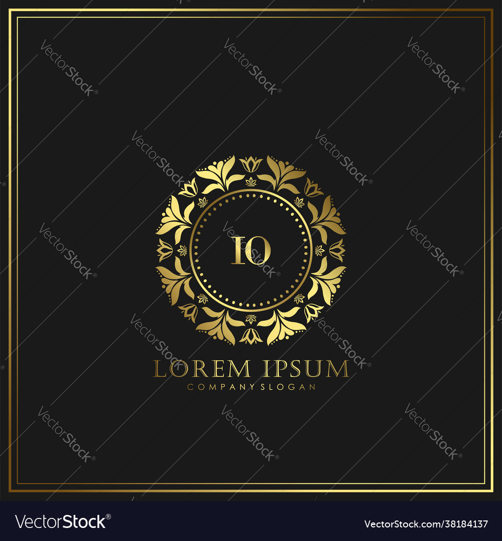 Io initial letter luxury logo template in art Vector Image