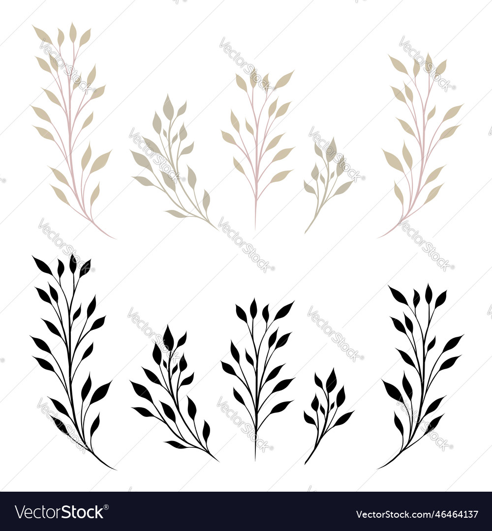 Set of branches with foliage isolated from