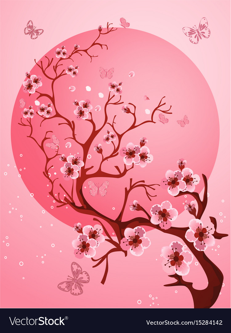 Sakura Anime Wallpapers - Top Free Sakura Anime Backgrounds -  WallpaperAccess