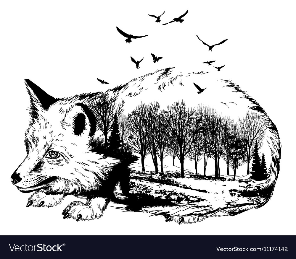 Double exposure silhouette of fox and forest Vector Image