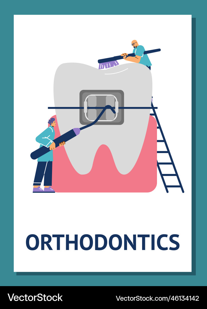 Orthodontics and aesthetic dentistry procedures Vector Image