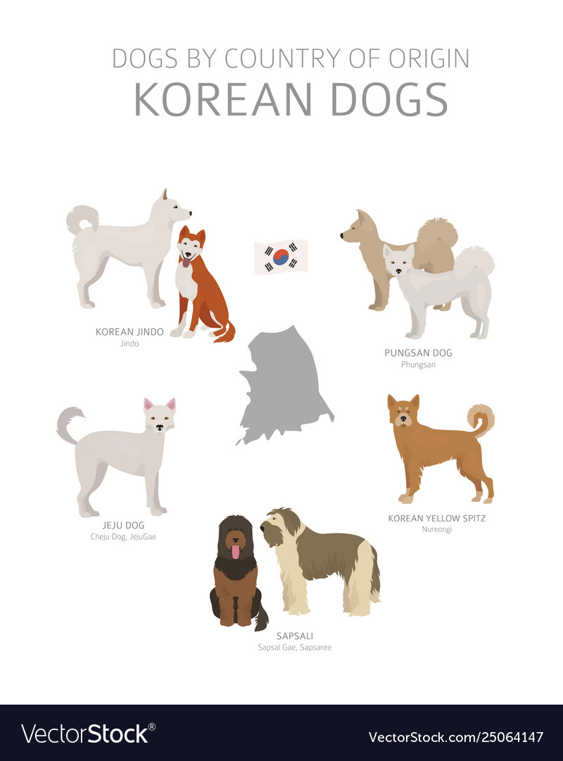 Dogs country origin korean dog breeds Royalty Free Vector