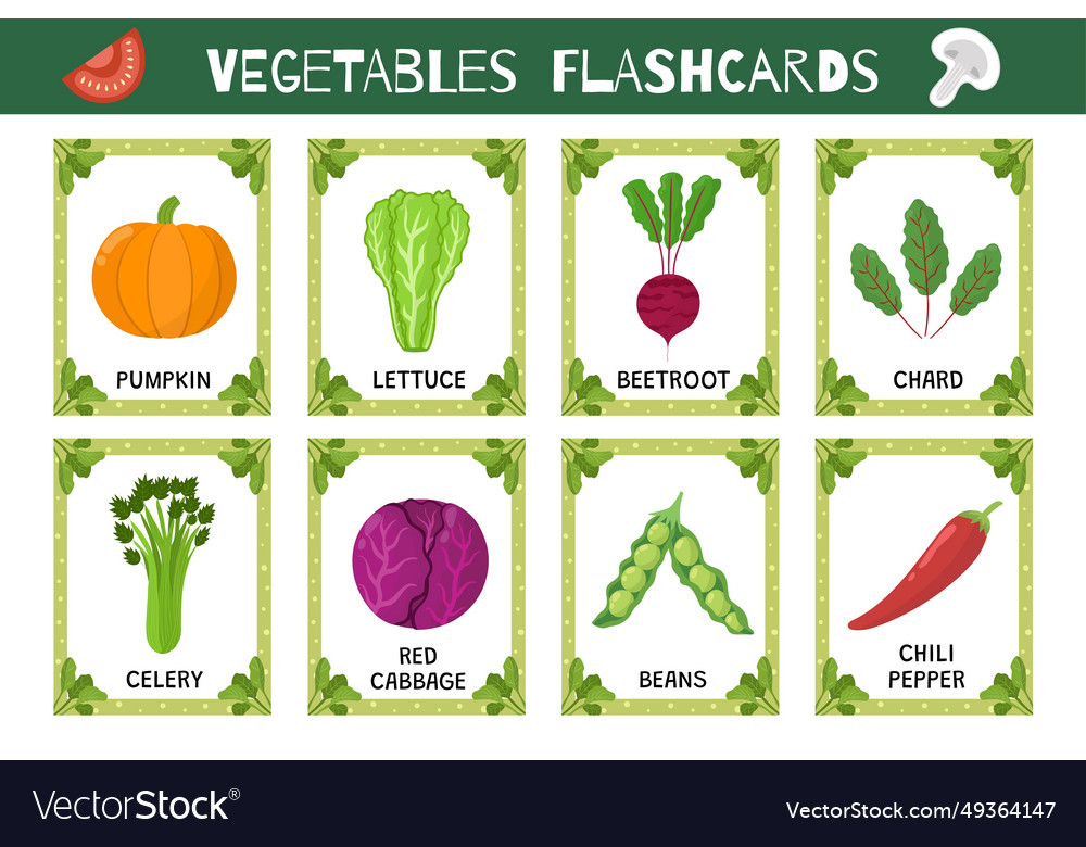 Vegetables flashcards set flash cards collection Vector Image