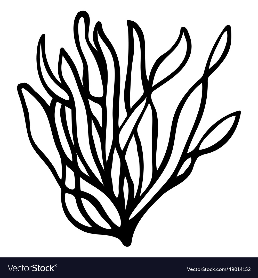 Stroke seaweed bush Royalty Free Vector Image - VectorStock