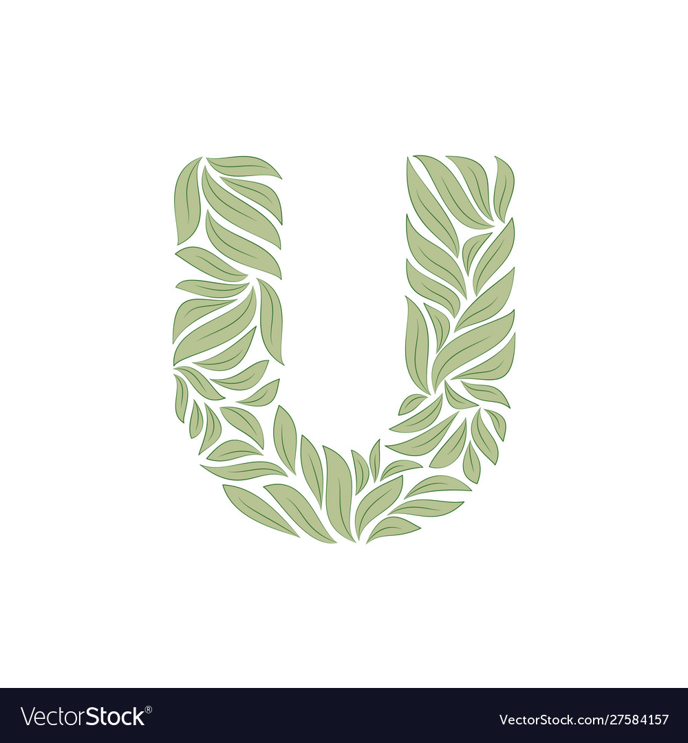 Ornamental letter u on white