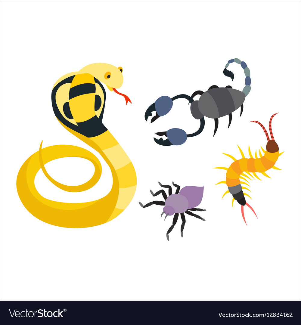 Flat snakes and other danger animals Royalty Free Vector Flat snakes and other danger animals Royalty Free Vector