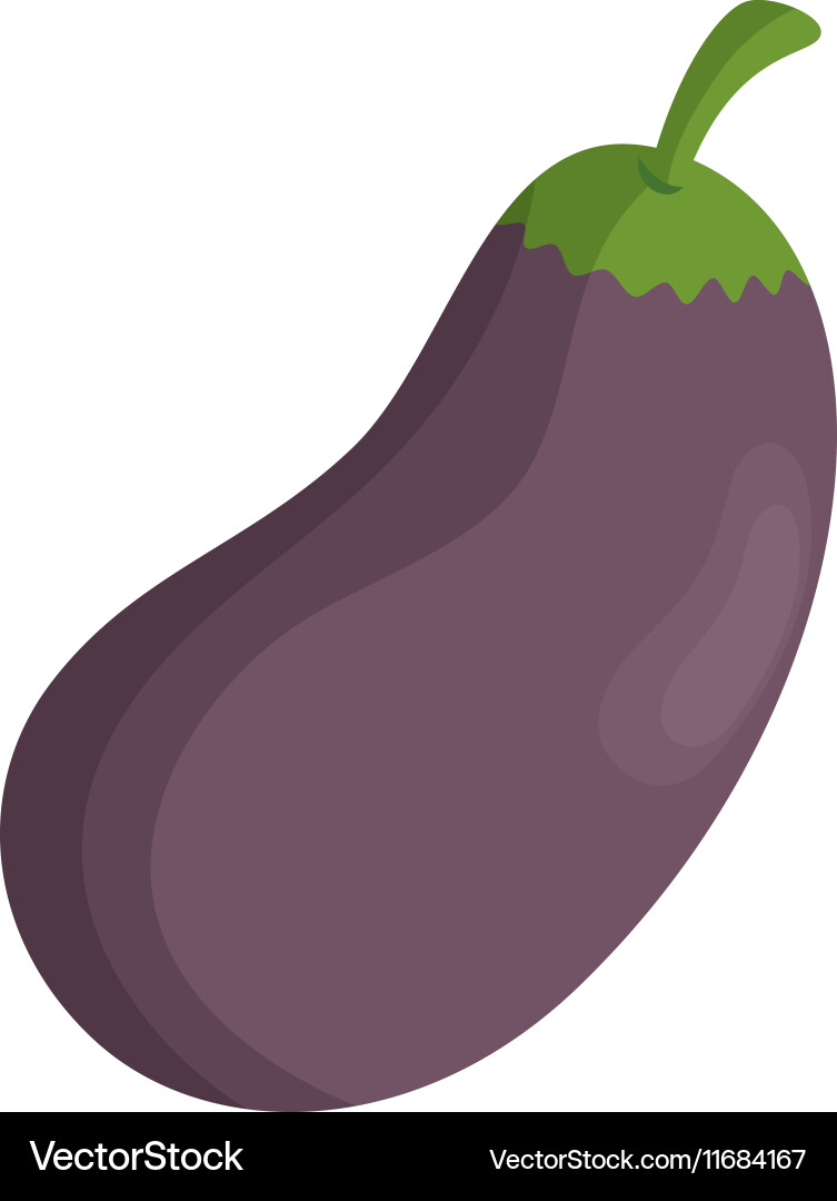 Fresh vegetable isolated icon Royalty Free Vector Image