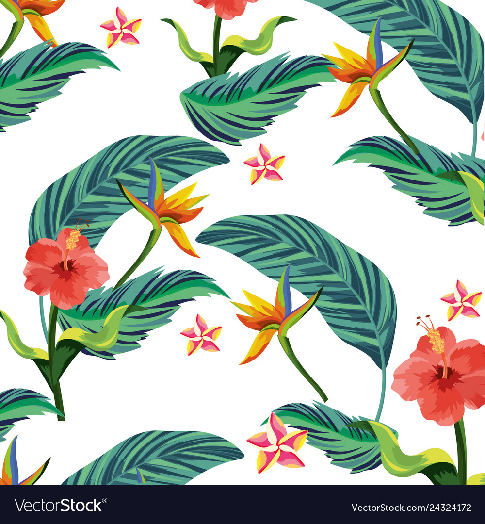 Nature flowers cartoon Royalty Free Vector Image