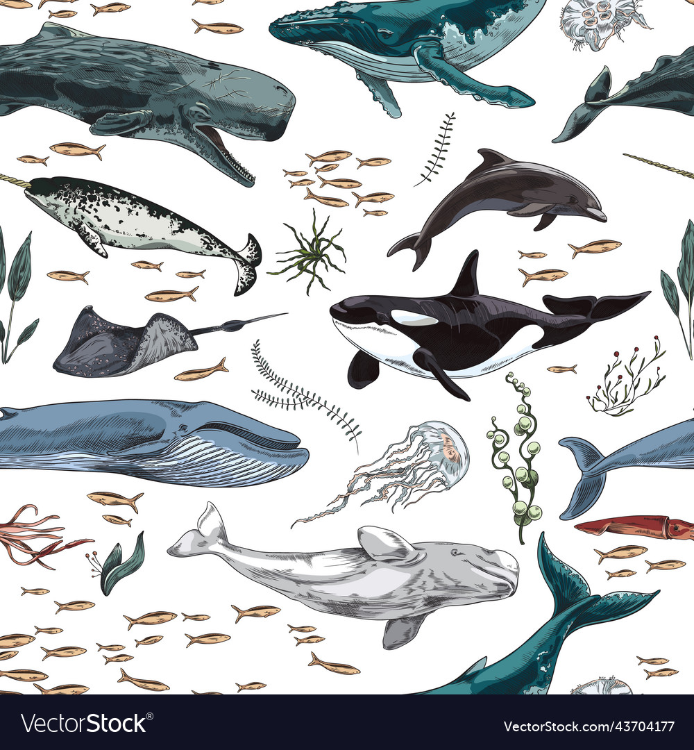 Seamless pattern with mammals marine animals flat