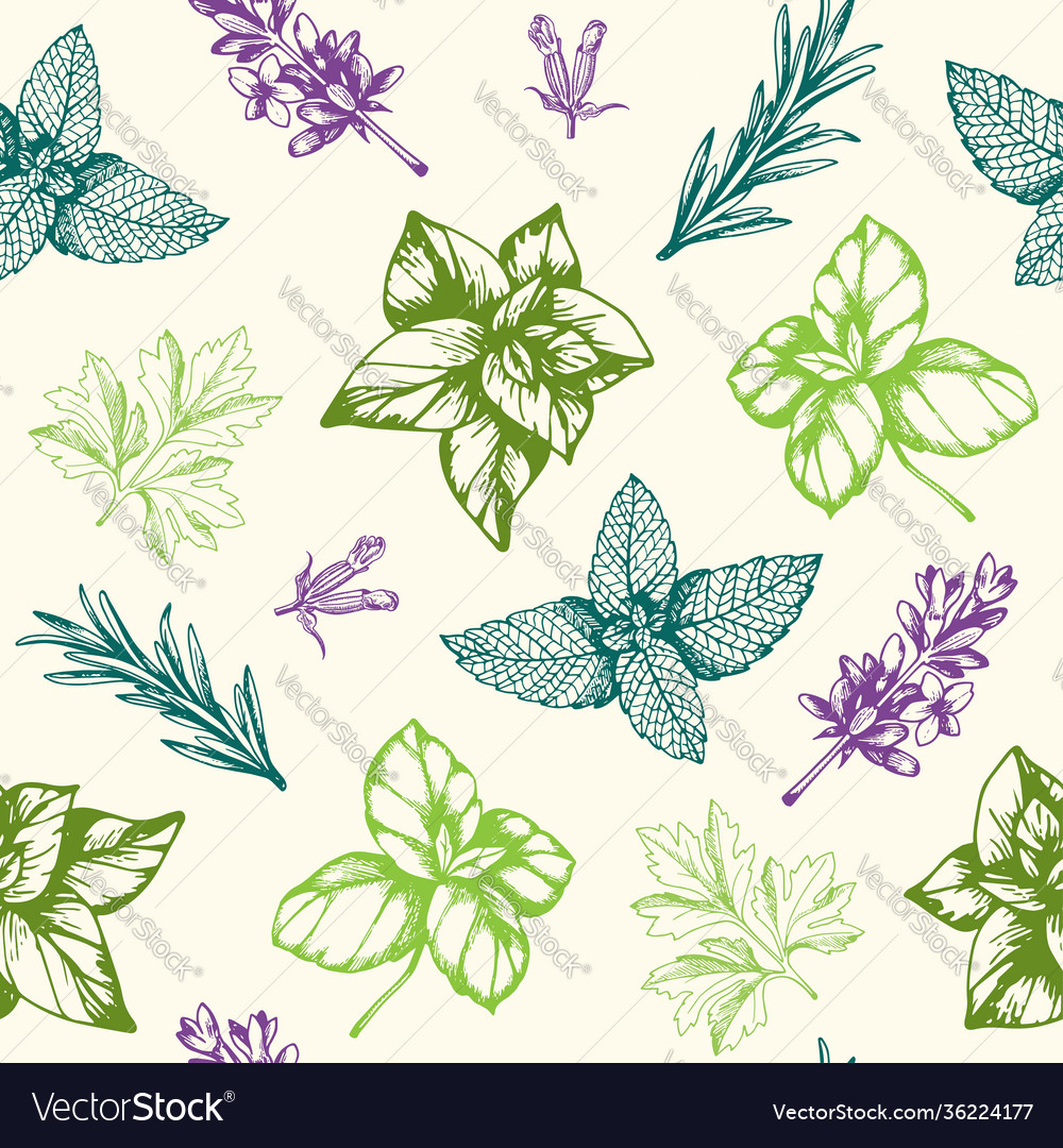 Seamless pattern with provencal herbs