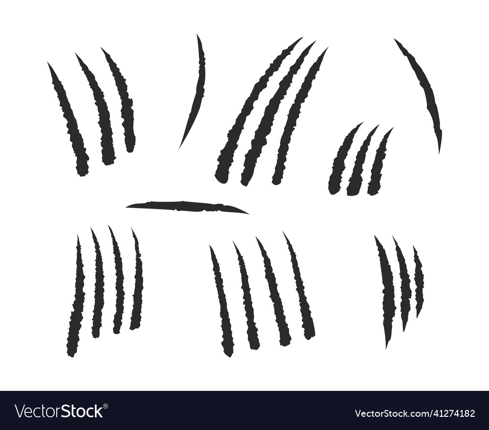 Cats scratch set on a white background mark Vector Image