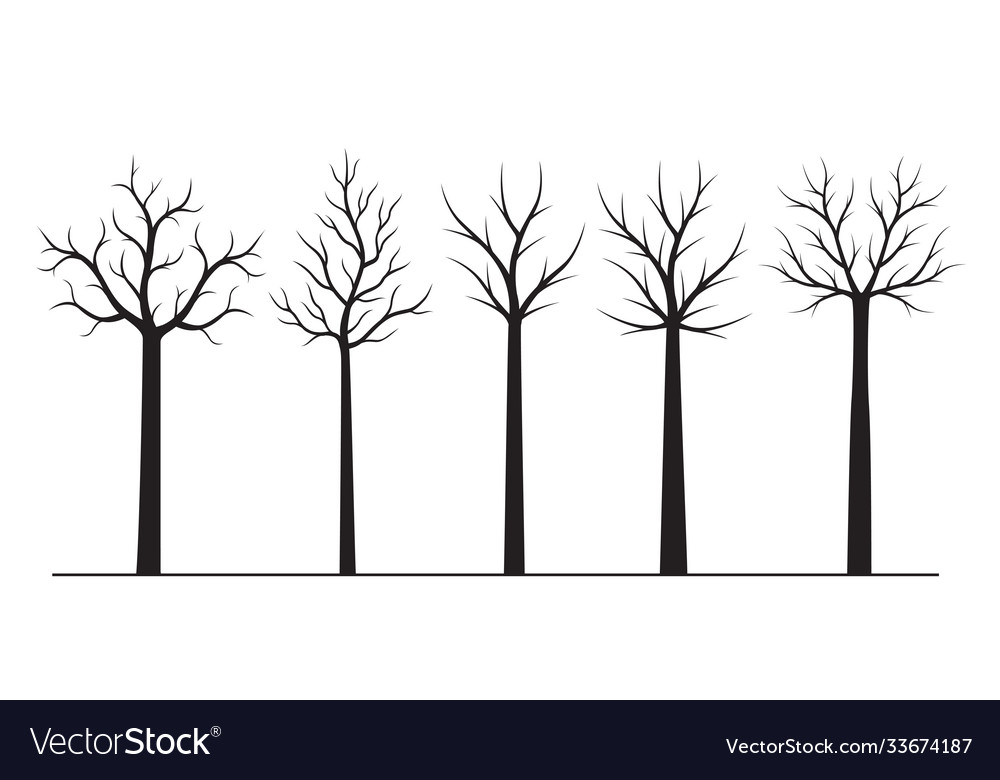 Set Black Trees Outline Royalty Free Vector Image