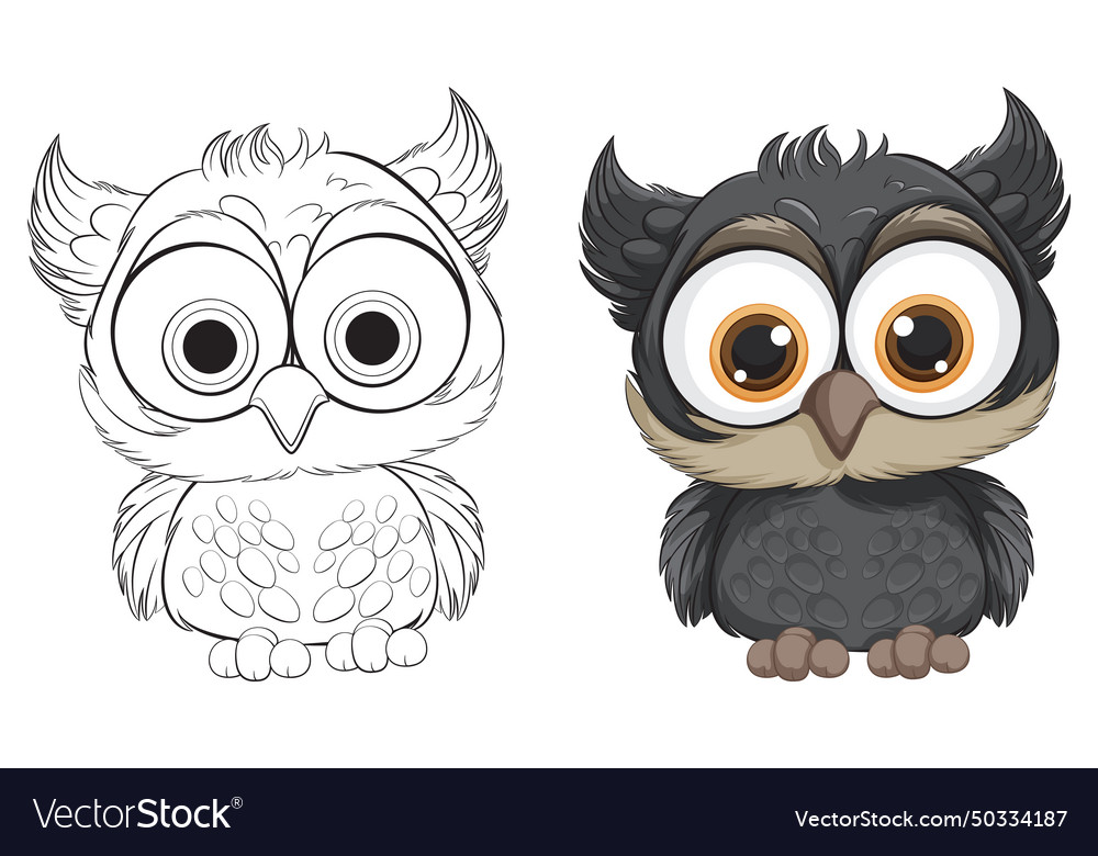 Two styles of a cartoon owl colored and outlined Vector Image