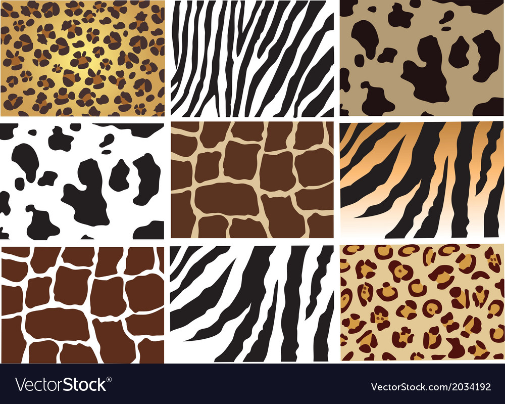 Download Animal skin Royalty Free Vector Image - VectorStock