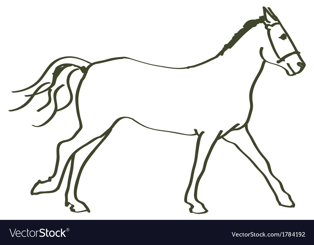 Hand Drawn Horse Vector Image