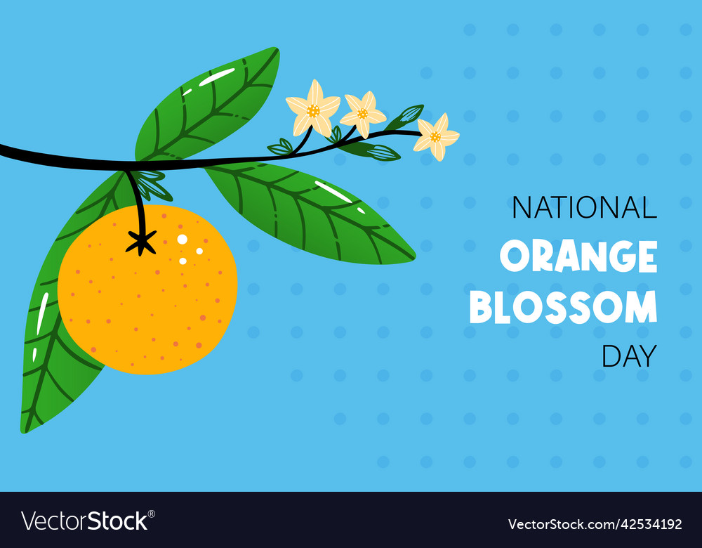 National orange blossom day Royalty Free Vector Image