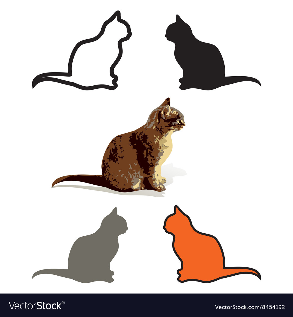 Set of Cats Are Sitting isolated Royalty Free Vector Image