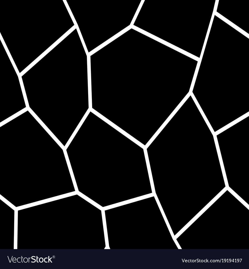 Black and white irregular mosaic template Vector Image