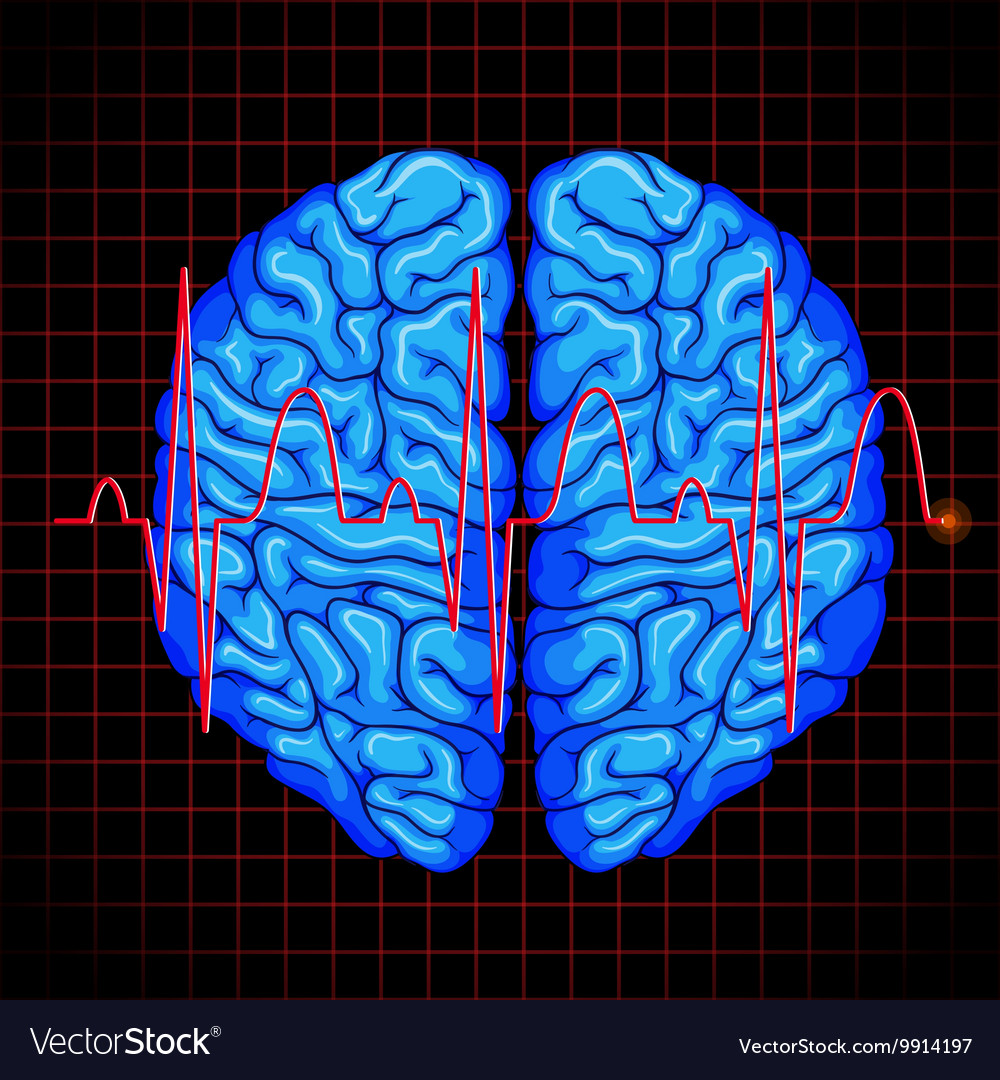 Human brain and brain graph on grids Royalty Free Vector