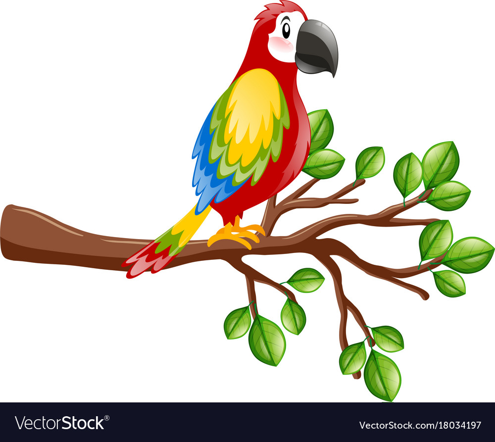 Parrot Bird On The Branch Royalty Free Vector Image