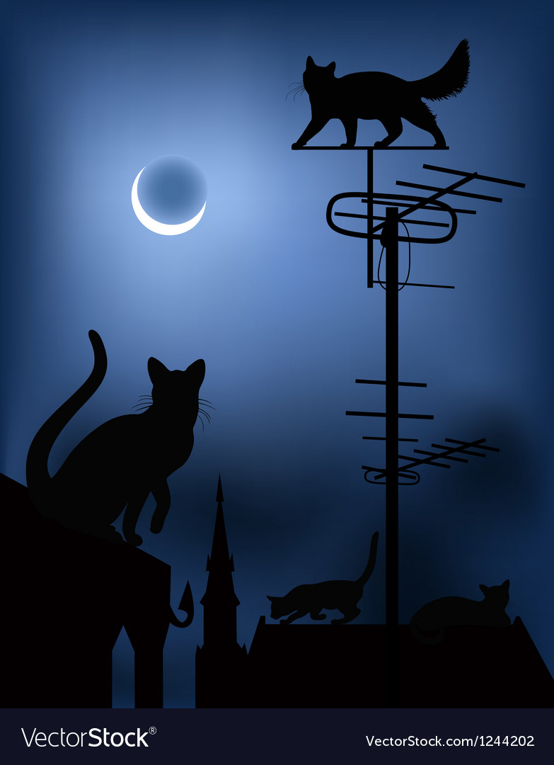 Cats On The Roofs In The Night Sky Royalty Free Vector Image