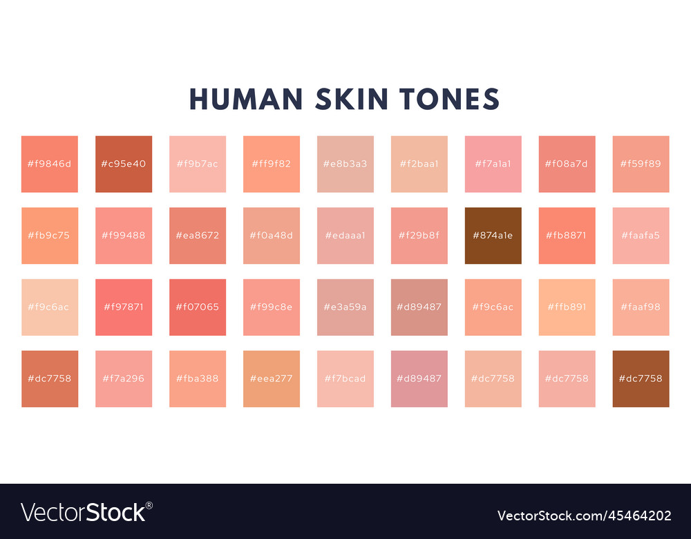 Index of skin tones set cosmetics skin tone color Vector Image