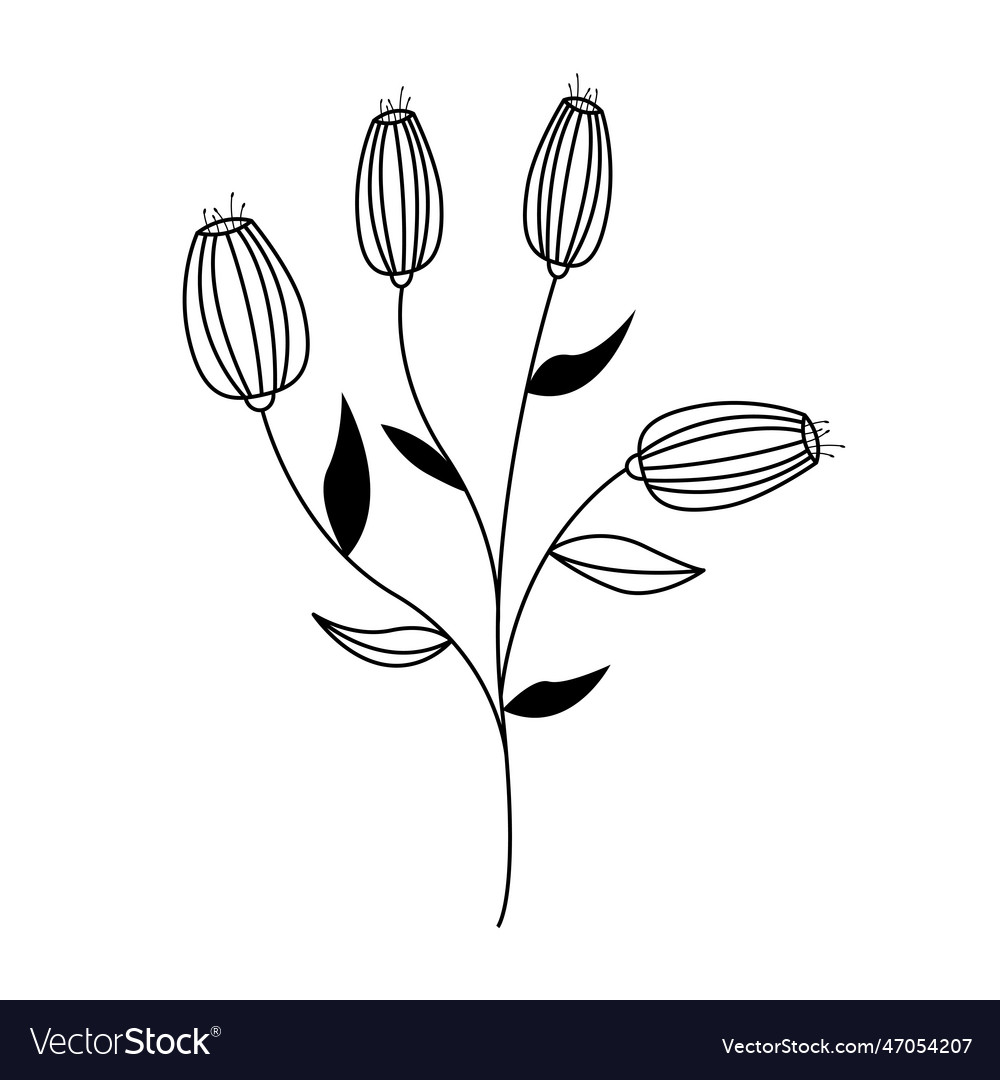 Hand drawn doodle flowers in outline style Vector Image