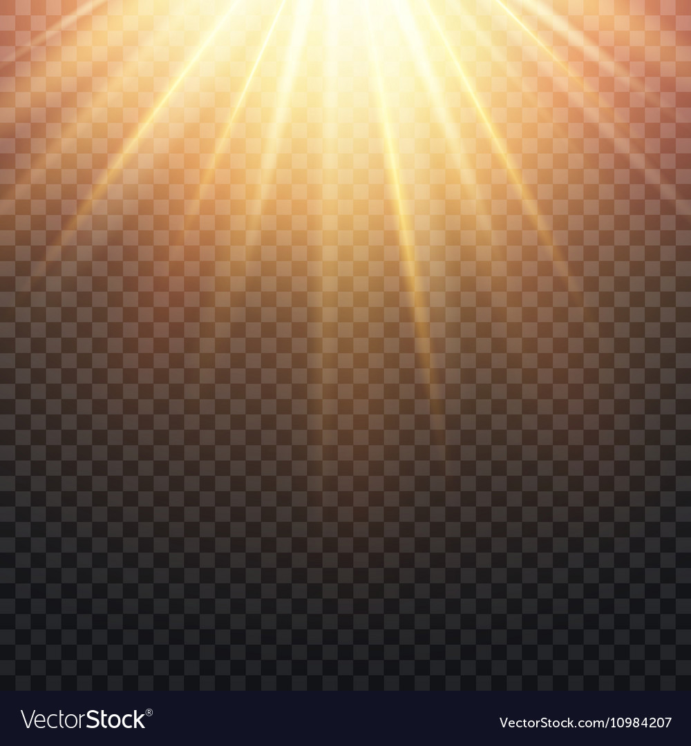 Realistic Transparent Yellow Sun Rays Warm Orange Vector Image