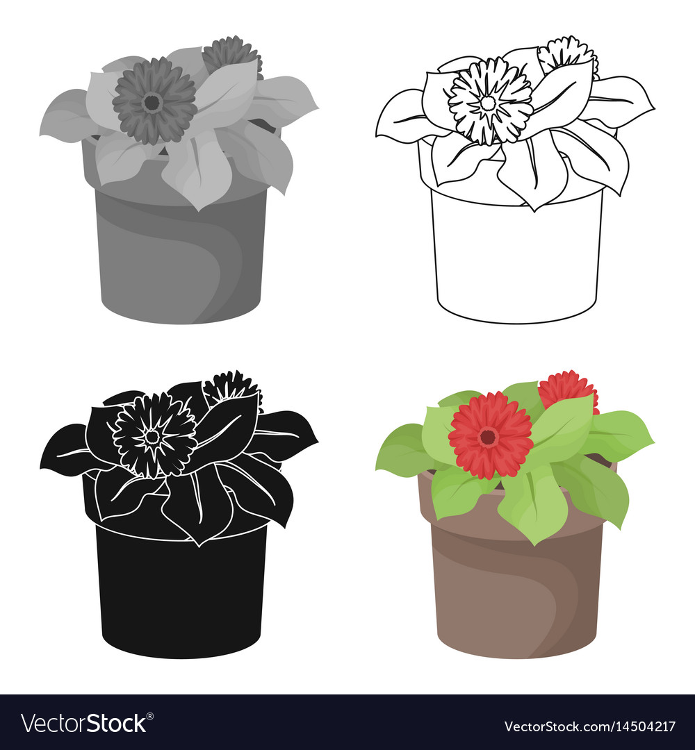 Flower in the pot icon outline style isolated