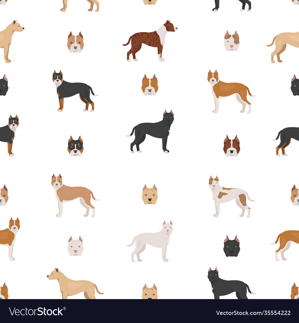 American staffordshire terrier dogs set color