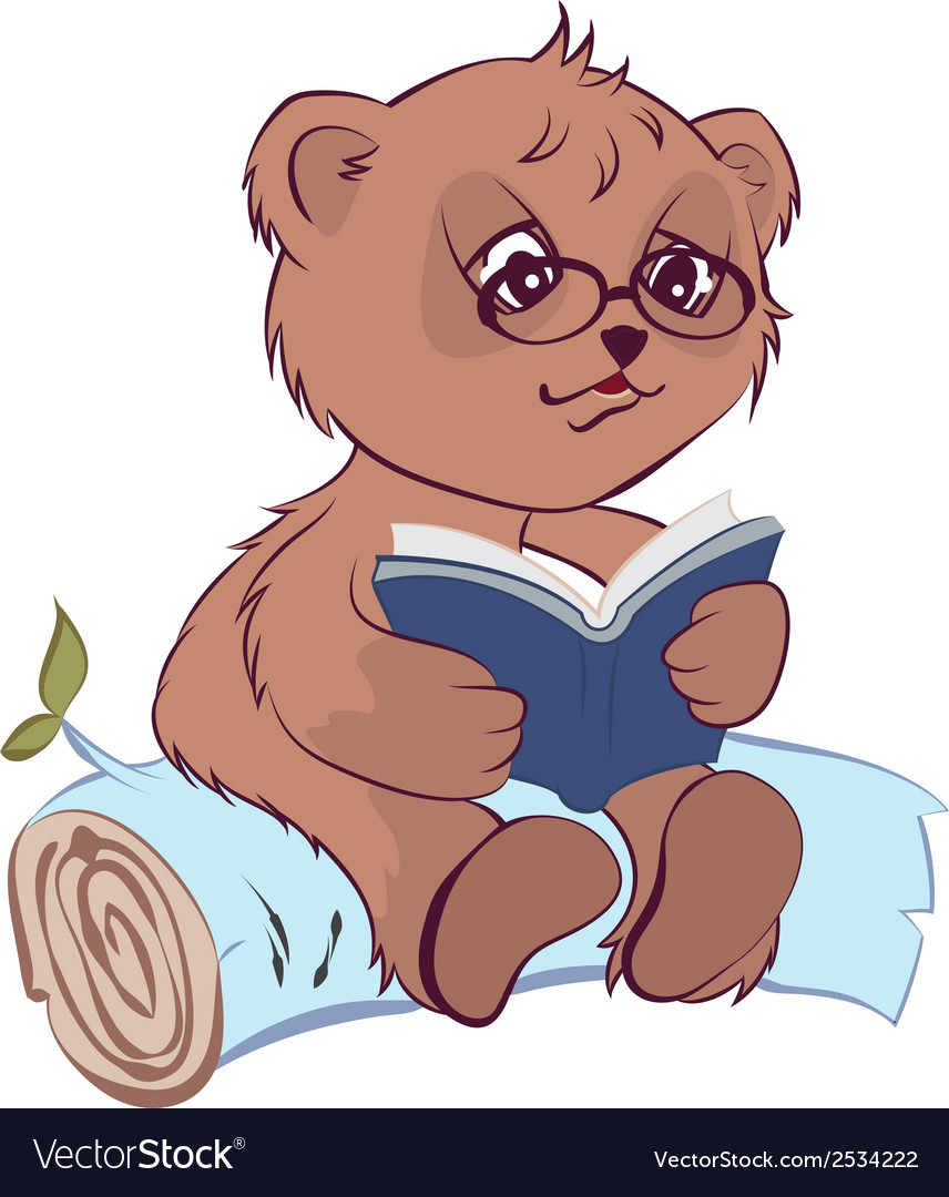 bear reading book royalty free vector image vectorstock