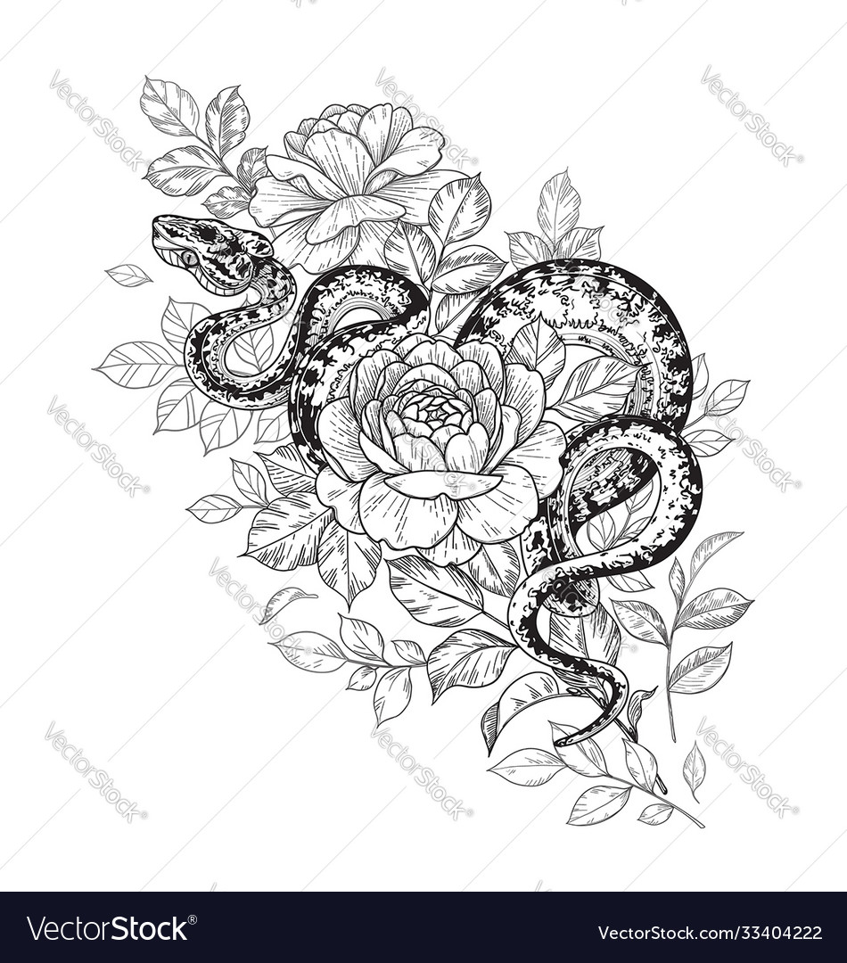 Twisted snake and rose flowers Royalty Free Vector Image