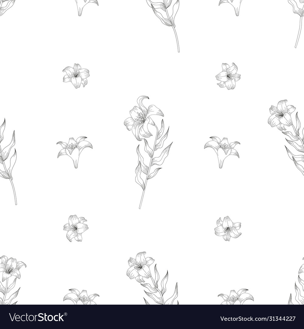 Coloring page - seamless pattern with lilies