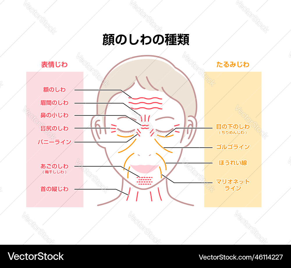 Expression wrinkles and aging female Royalty Free Vector
