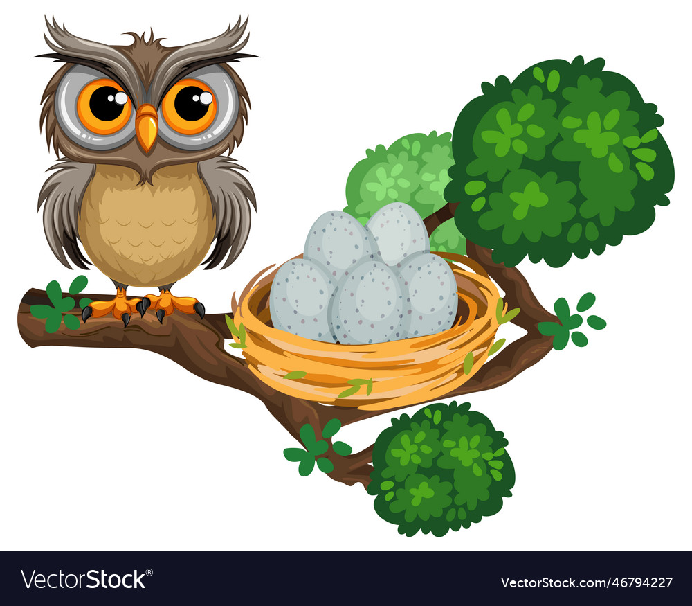 Owl perching on tree branch Royalty Free Vector Image