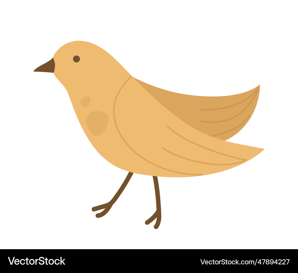 Spring cute bird Royalty Free Vector Image - VectorStock
