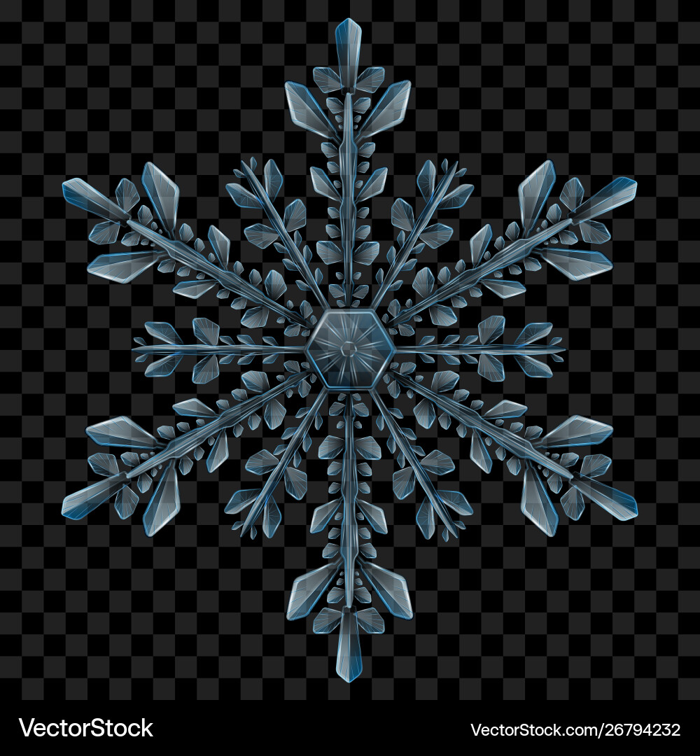 Big translucent christmas snowflake Royalty Free Vector