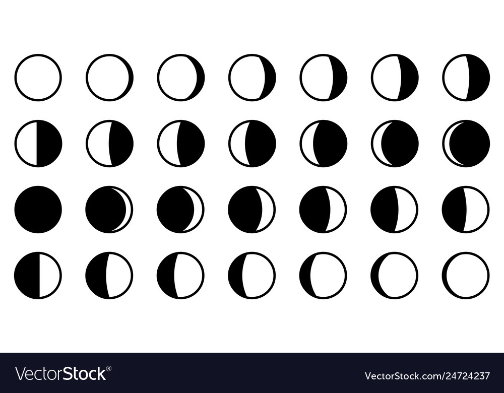 Lunar moon phases cycle all 28 shapes for each Vector Image