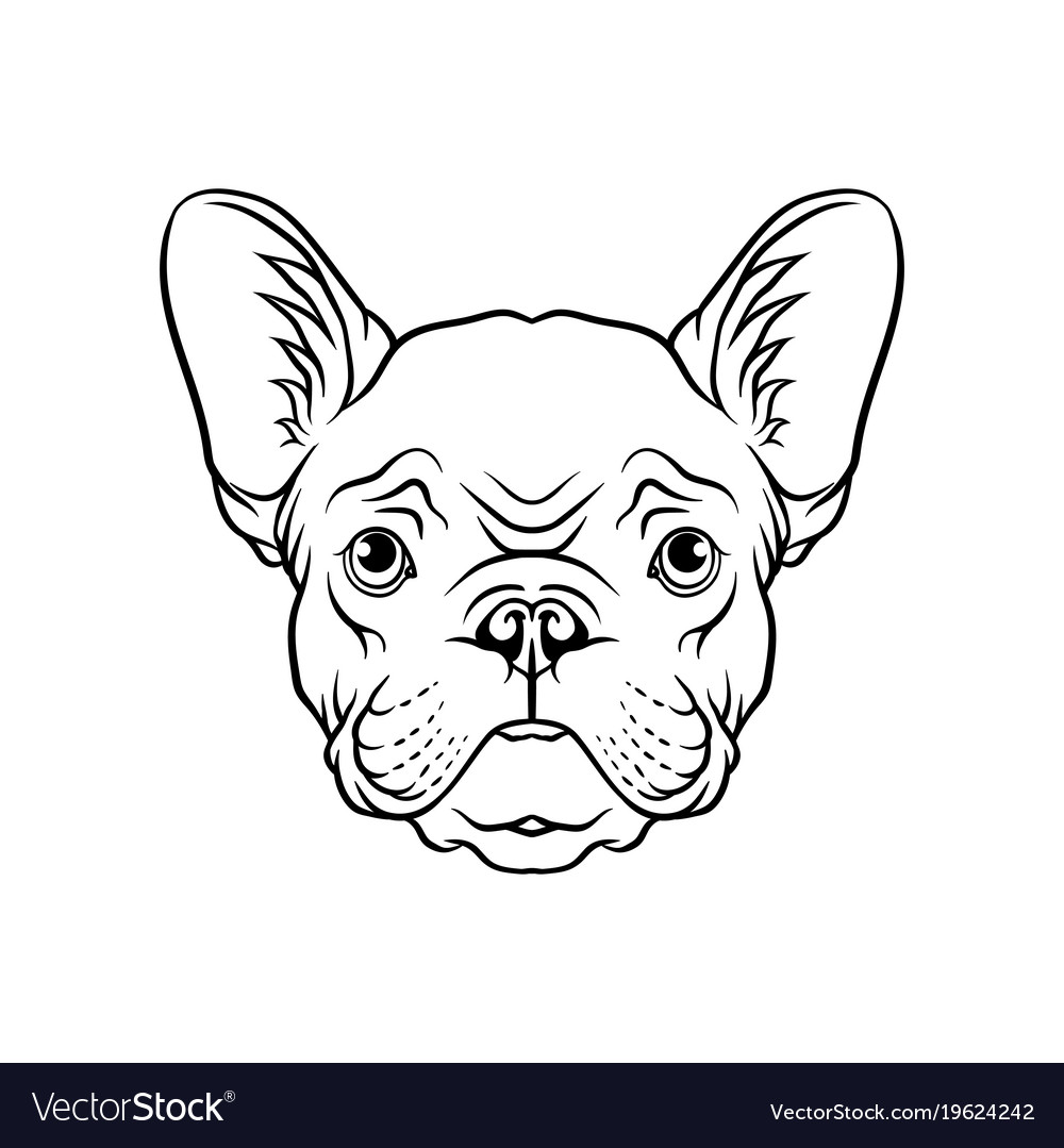 Black And White Sketch Pug Dogs Head Face Of Vector Image Illustration of cat and dog in vector. vectorstock