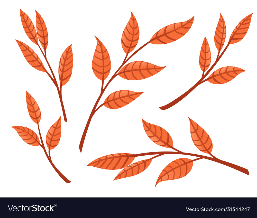 Set orange autumn leaves on branches flat