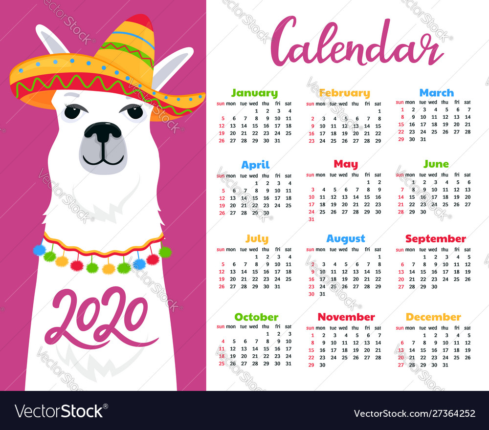 Calendar for 2020 week start on sunday cute llama Vector Image