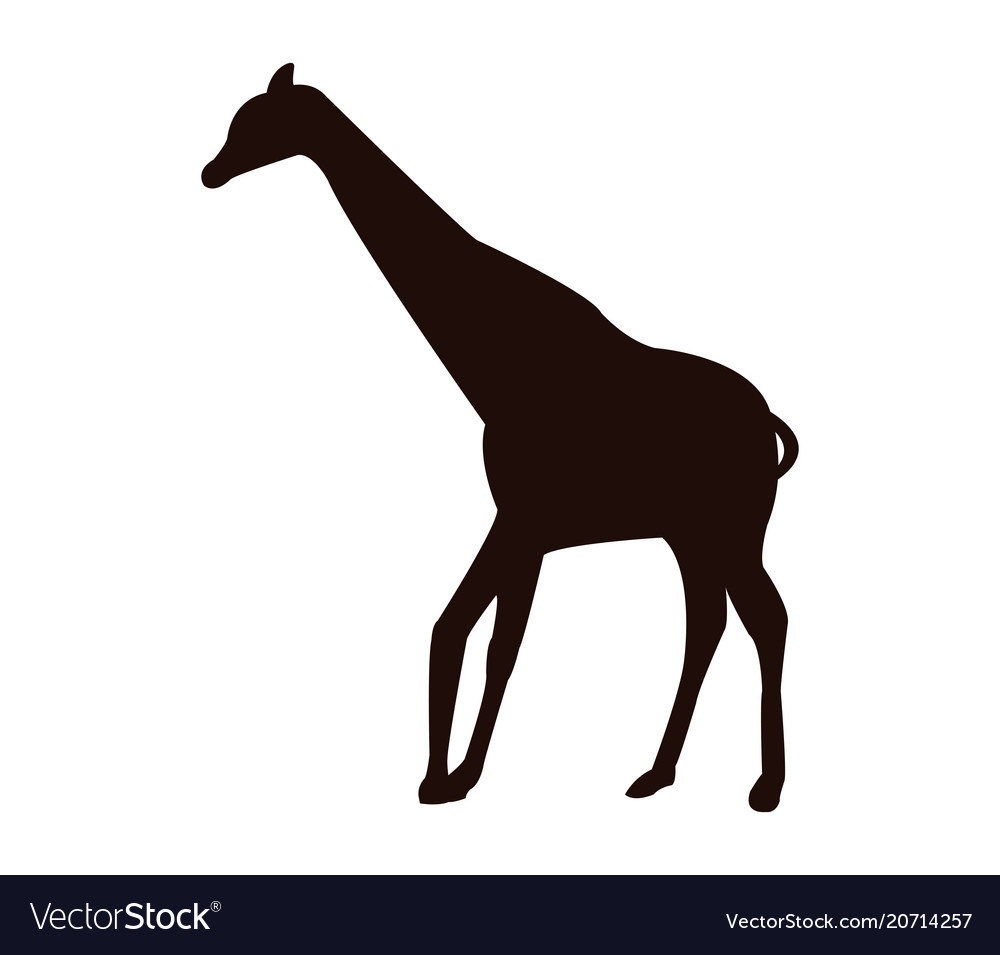 Giraffe icon Royalty Free Vector Image - VectorStock