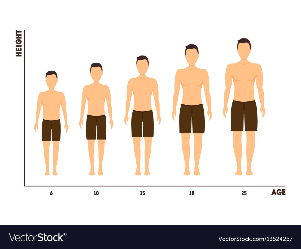 Height measurement black glyph icon human body Vector Image