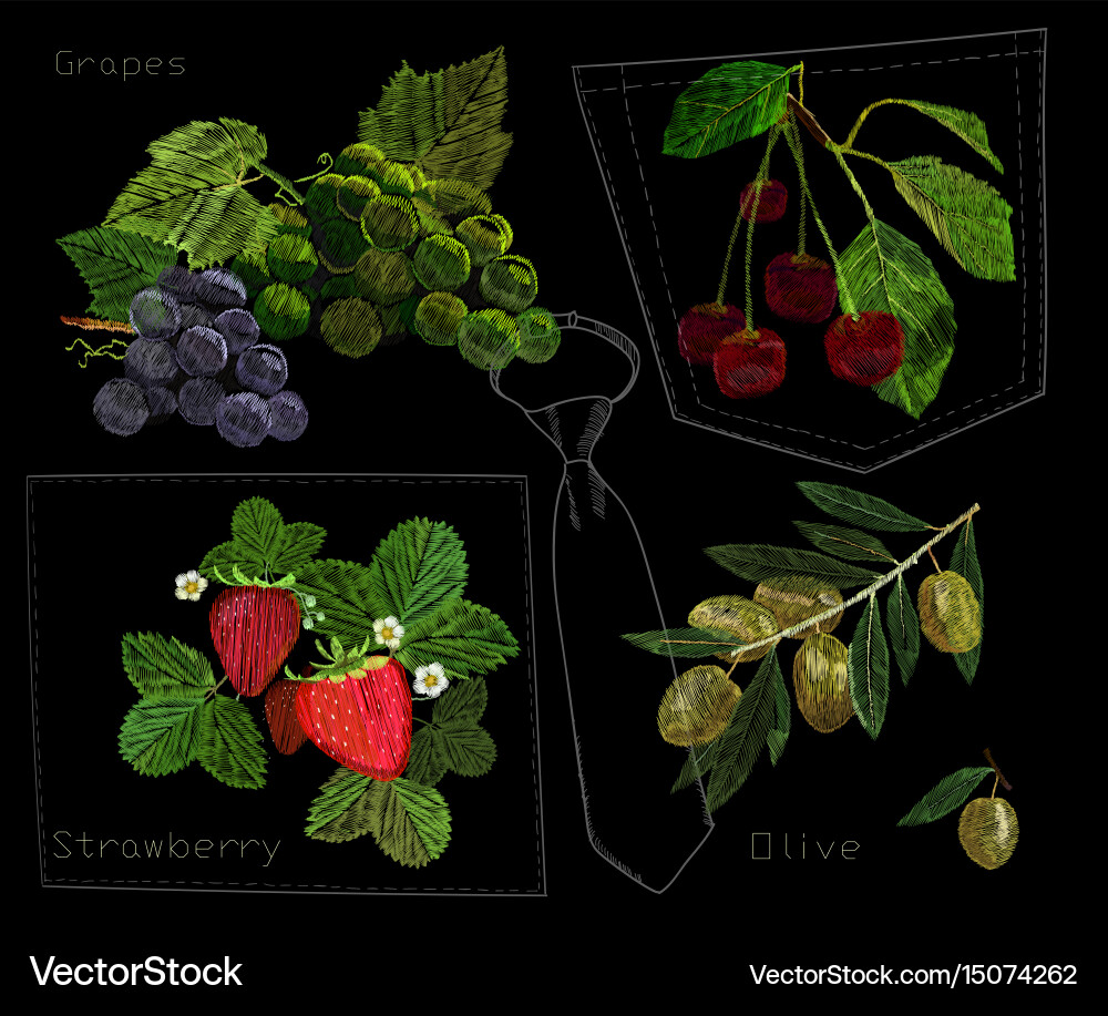Set embroidery needlework Royalty Free Vector Image