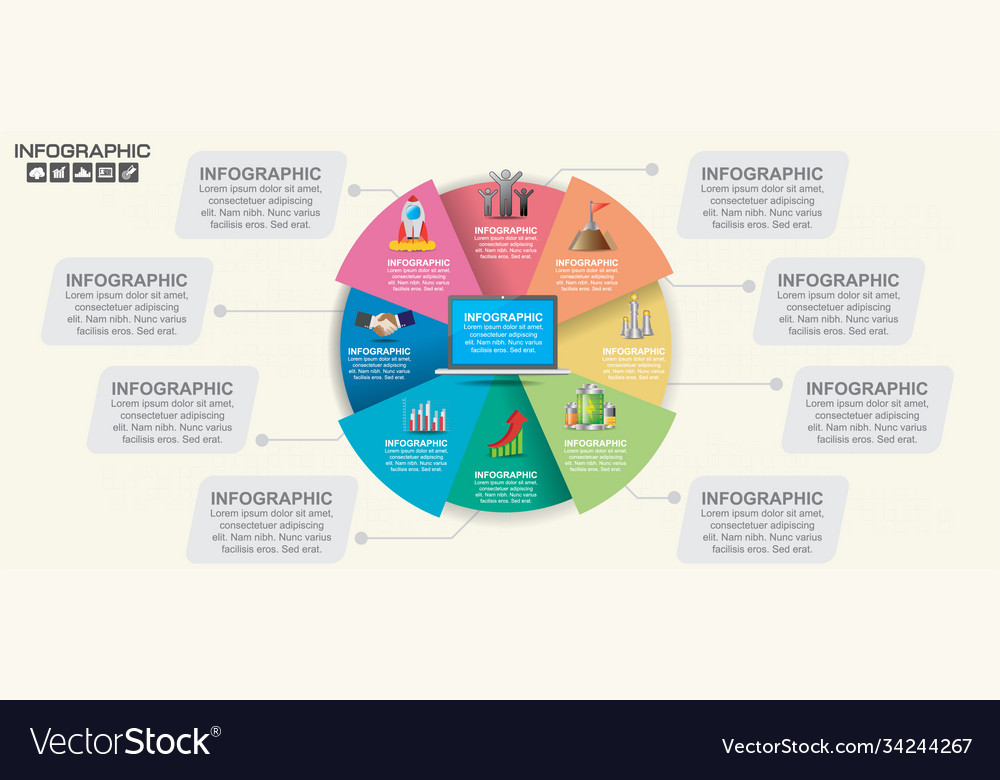 8 parts infographic design and marketing icons Vector Image