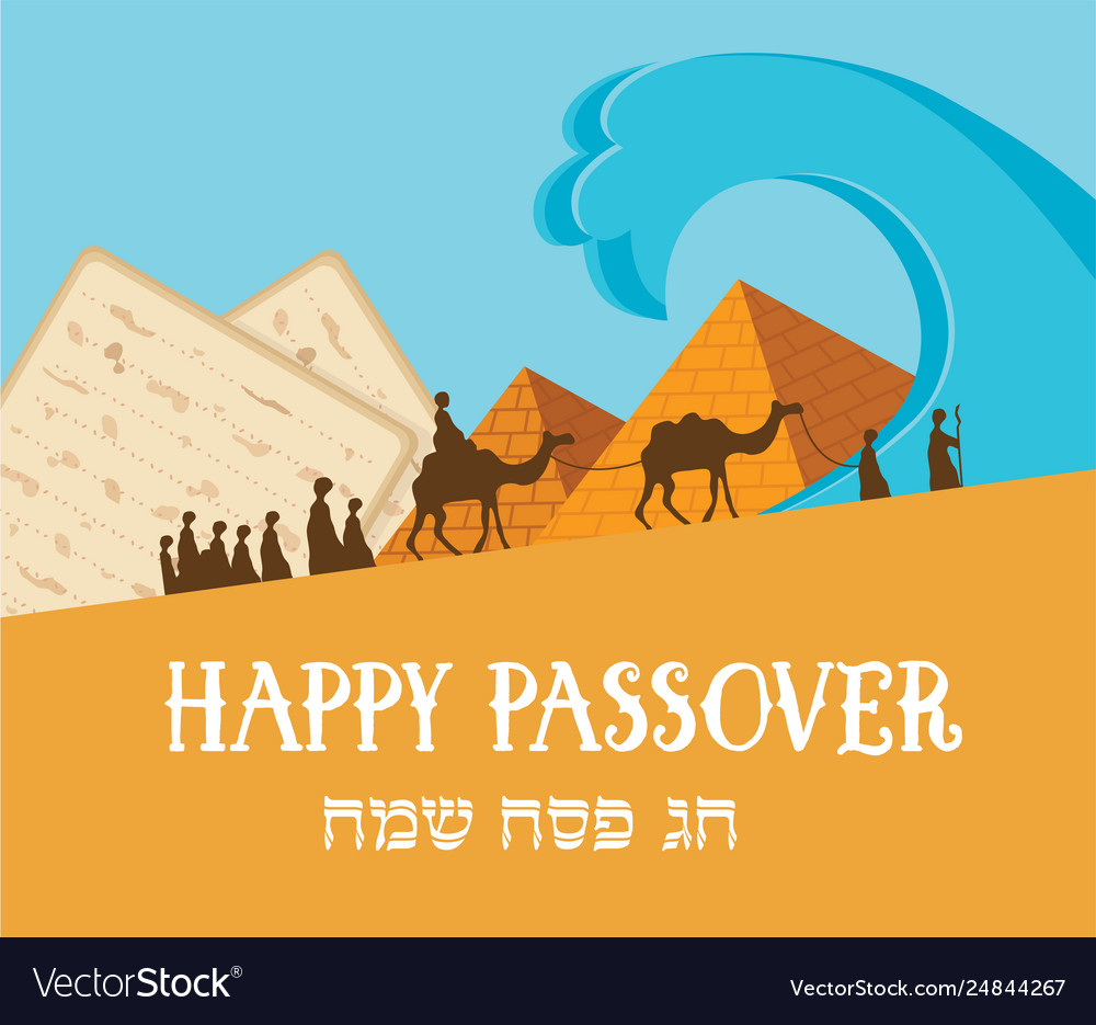 Happy passover card with matza in hebrew Vector Image