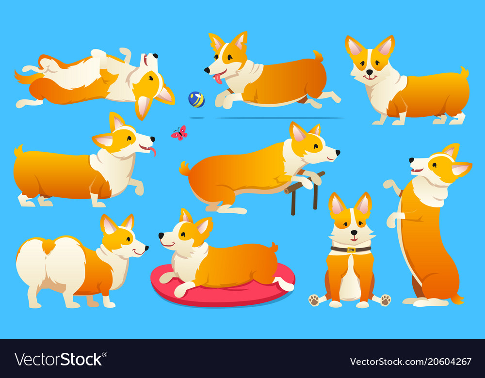 Set Of Cute Dogs Breed Welsh Corgi Pembroke On Vector Image