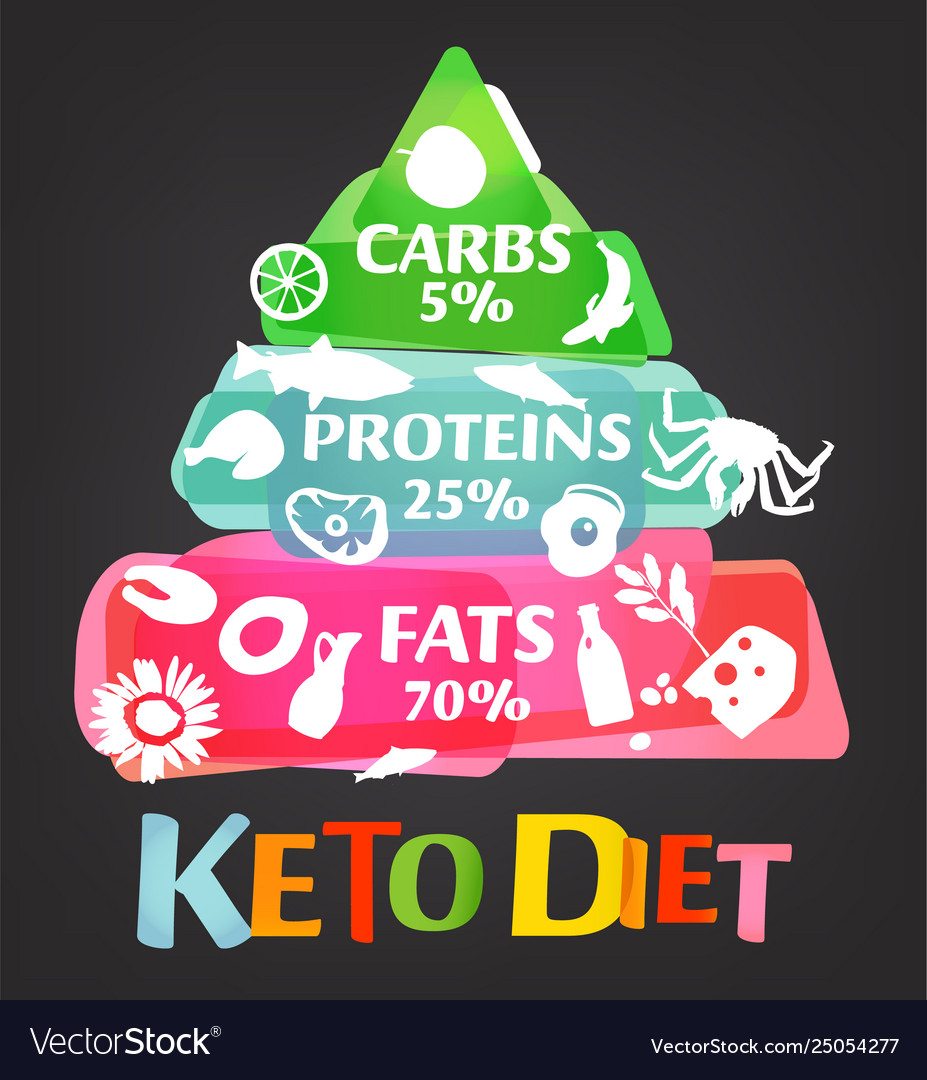 Keto diet pyramid Royalty Free Vector Image - VectorStock